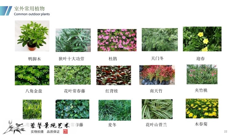 垂直綠化植物墻安裝教程方案