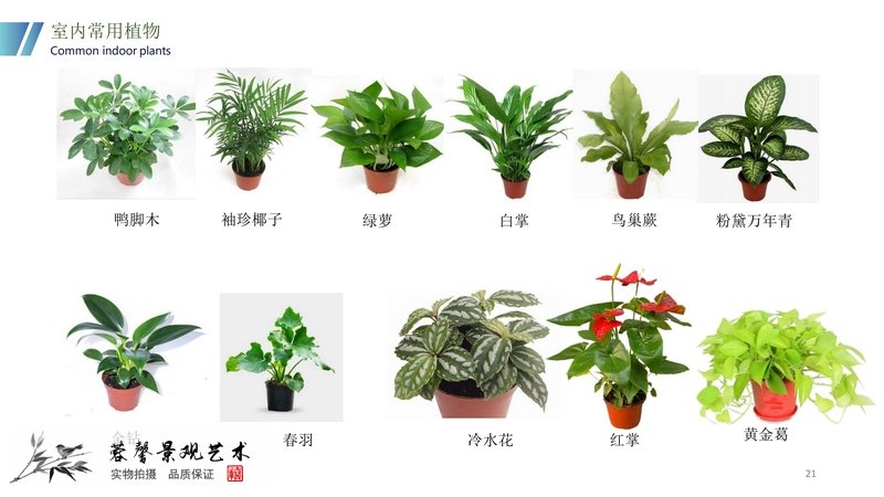 垂直綠化植物墻安裝教程方案