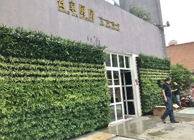 名家廚房餐廳植物墻