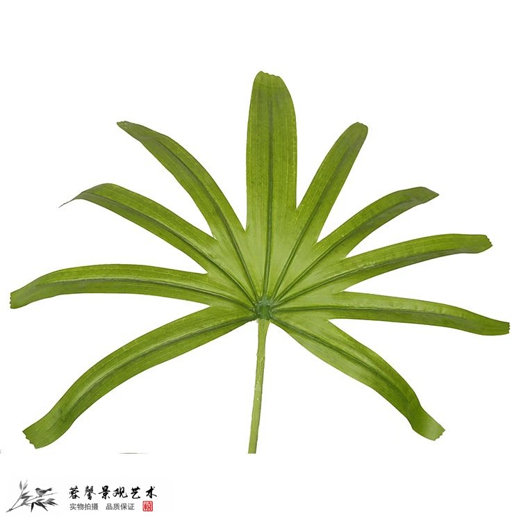 仿真葵樹的價(jià)格多少