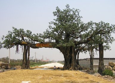 仿真樹榕樹大門