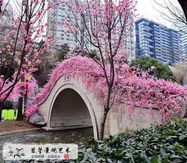 仿真桃花樹造景