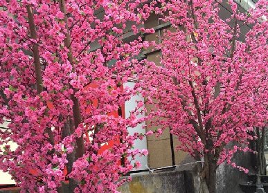 仿真桃花樹寓意