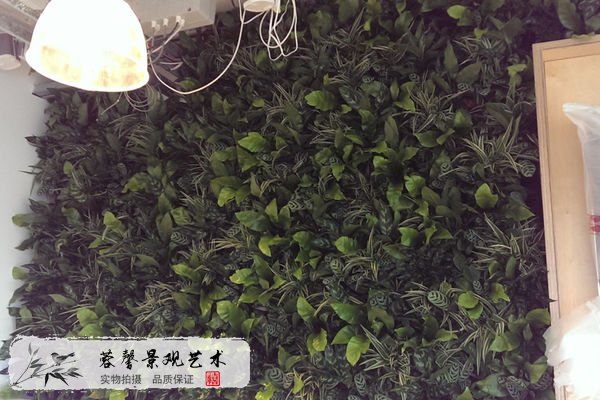 辦公室仿真植物墻