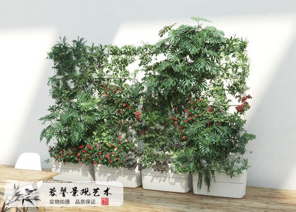 室內植物墻哪家好