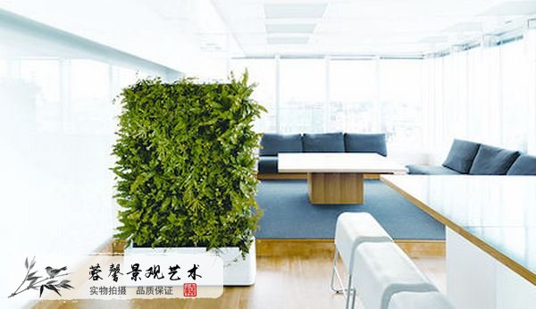 室內植物墻哪家好