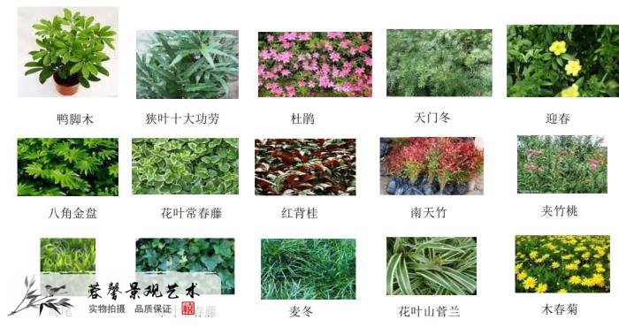 植物墻價(jià)格