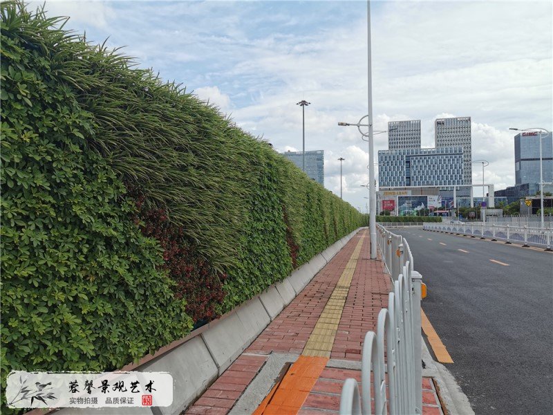 城市道路綠化比較好的