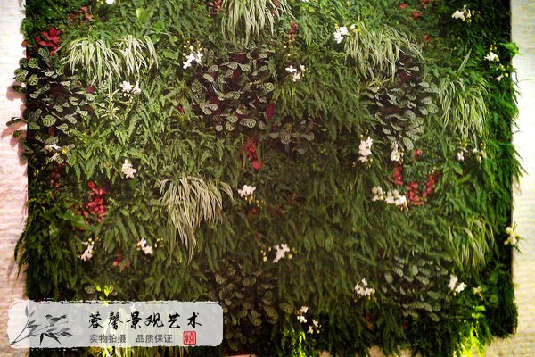 室內(nèi)植物墻對(duì)場(chǎng)景的作用，設(shè)計(jì)要素詳解