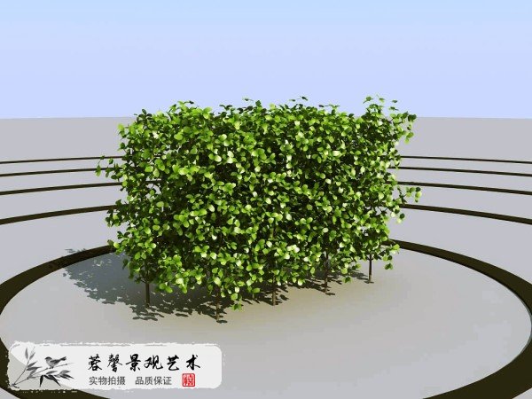 現(xiàn)代植物墻飾3d模型