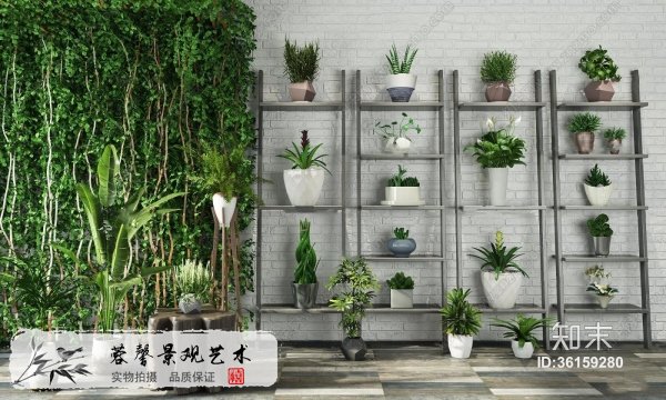 現(xiàn)代植物墻飾3d模型