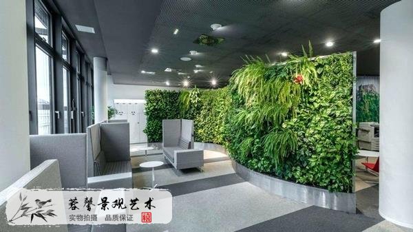 植物墻植物，過度生長的防治策略