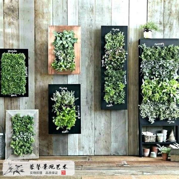 植物墻植物過(guò)度生長(zhǎng)