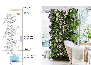 植物墻灌溉系統(tǒng)