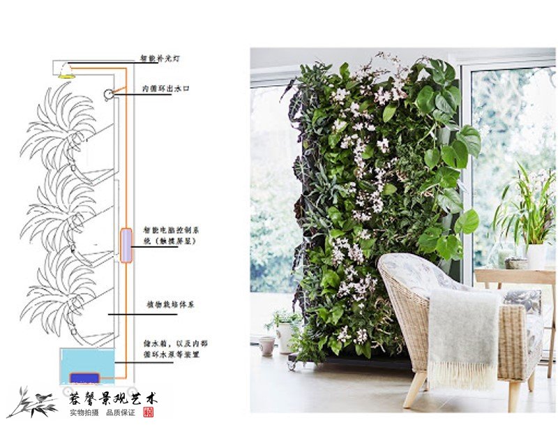 植物墻灌溉系統(tǒng)，如何實(shí)現(xiàn)？有哪些隱患