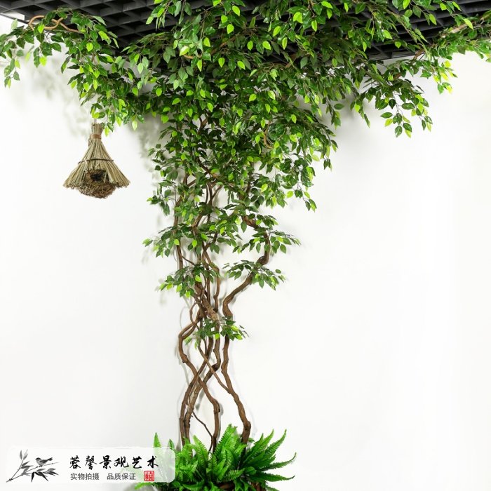 仿真植物挑選