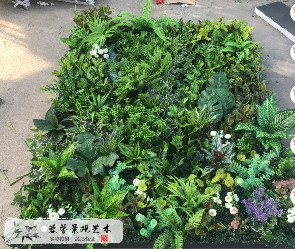 仿真植物墻裝飾