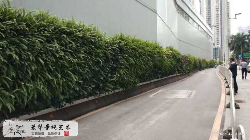 市政高速通道墻體圍擋垂直綠化植物墻