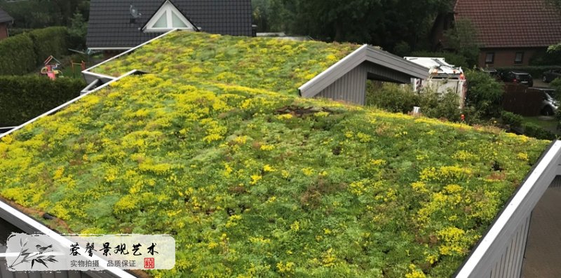 住宅屋頂綠化