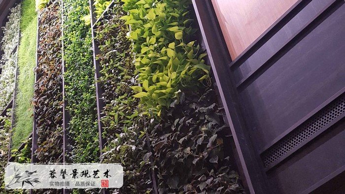 植物墻設計制作