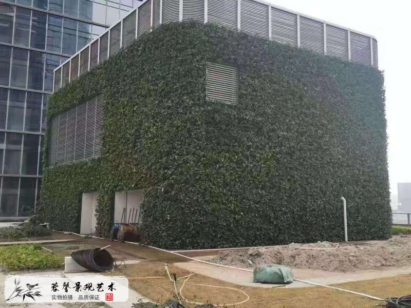 樓頂露臺墻體植物墻