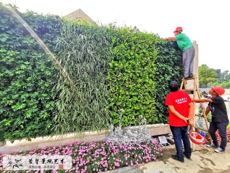 售樓部植物墻