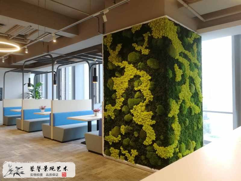 植物墻植物養(yǎng)護(hù)