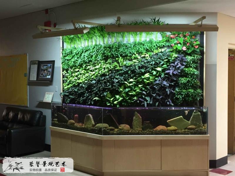 魚缸植物墻