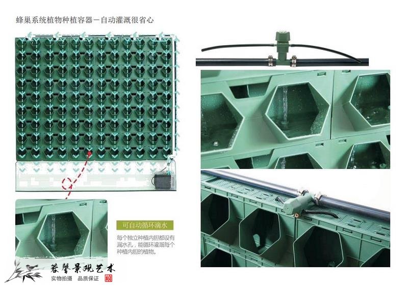 水培植物墻