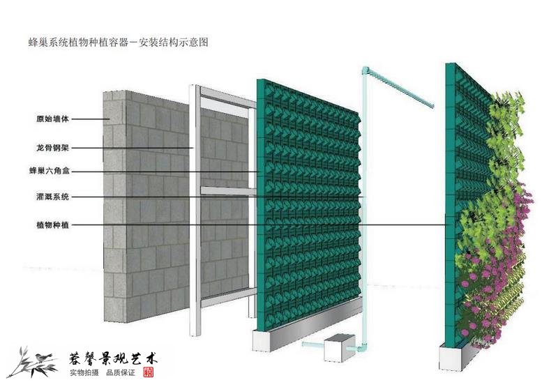 水培植物墻