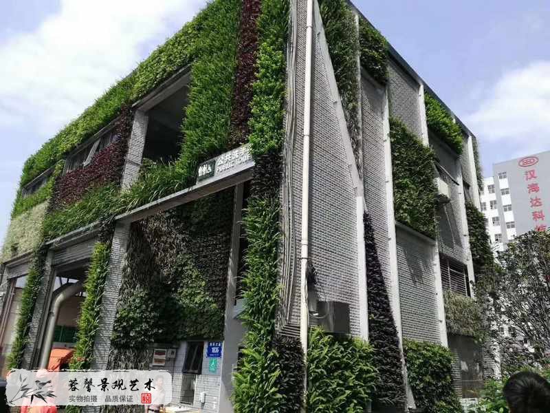 公共洗手間植物墻