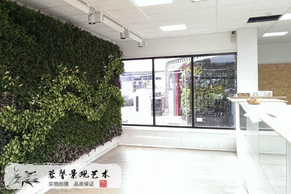 立體綠化在城市建設(shè)中的作用越來越明顯