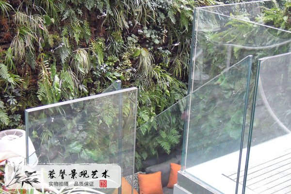 室內(nèi)外植物墻，為何無法替代？