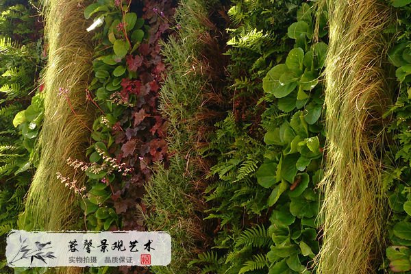 植物墻培育介質(zhì)選擇，要符合哪些特征