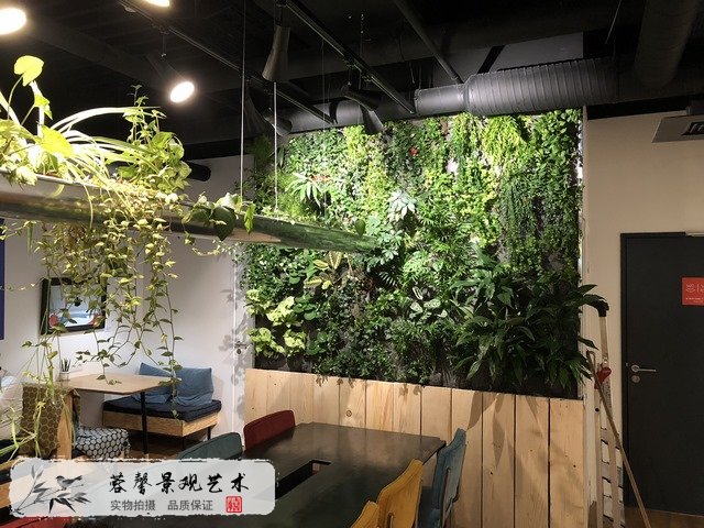 室內植物墻