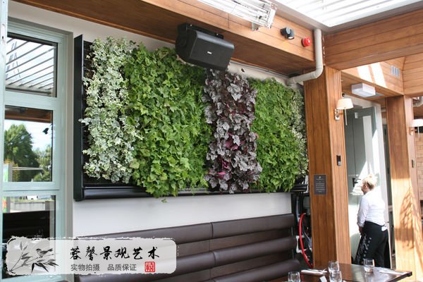 室內(nèi)植物墻植物保養(yǎng)方法，資深講解建議收藏！