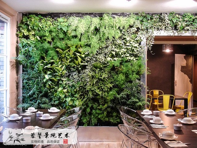 室內(nèi)植物墻保養(yǎng)