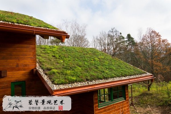 屋頂綠化好處