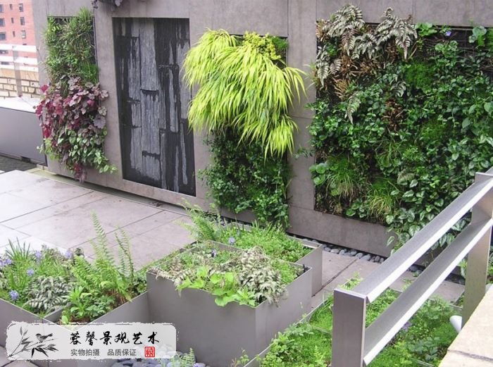 從零開始學(xué)植物墻：植物墻含義、歷史和功能