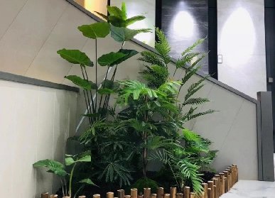 室內(nèi)仿真植物景觀