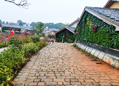 夏木塘特色小鎮(zhèn)垂直綠化