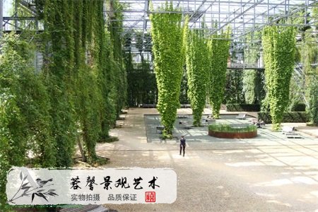 植物墻設(shè)計(jì)的比例和尺寸是多少？文中自見分曉