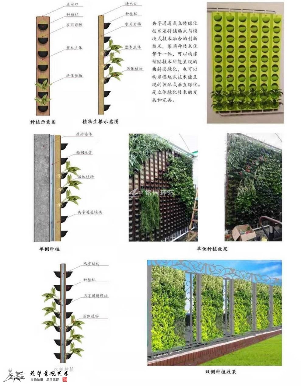 塑木通道+巖棉植物墻容器模塊詳解（圖文）