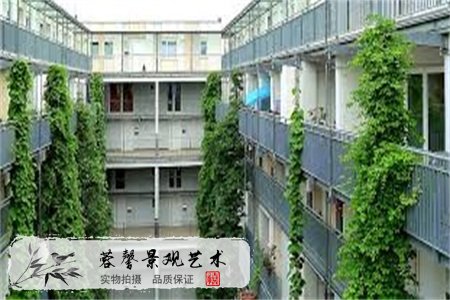 室內(nèi)植物墻一平方多少錢(qián)？看完心中有數(shù)