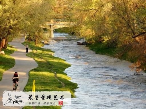 河道護坡綠化