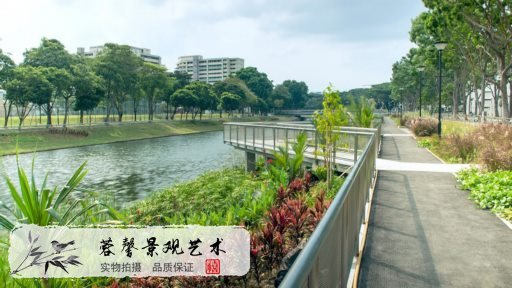 河道護坡綠化