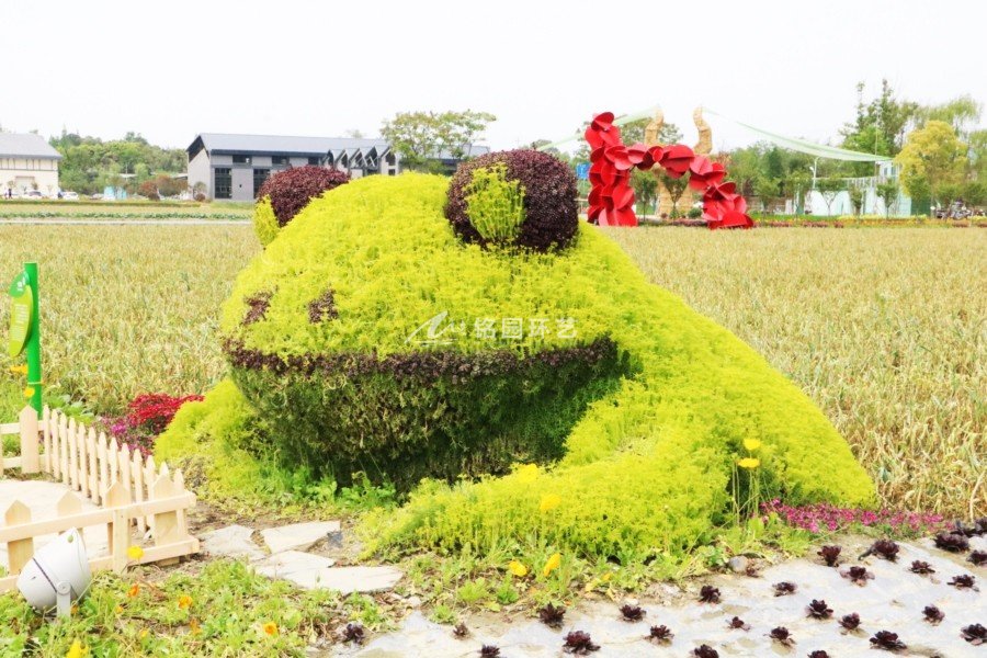 藝術(shù)節(jié)植物墻