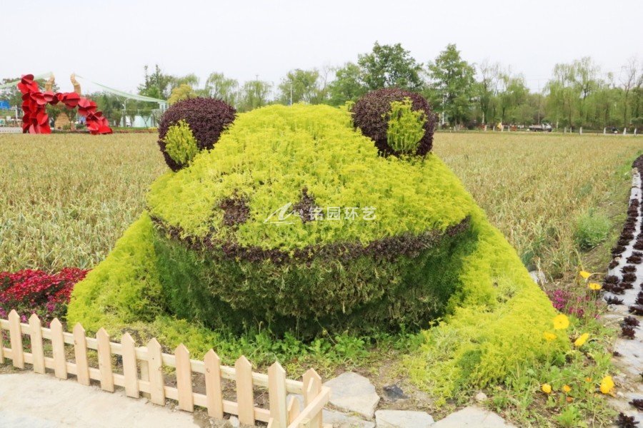 藝術(shù)節(jié)植物墻