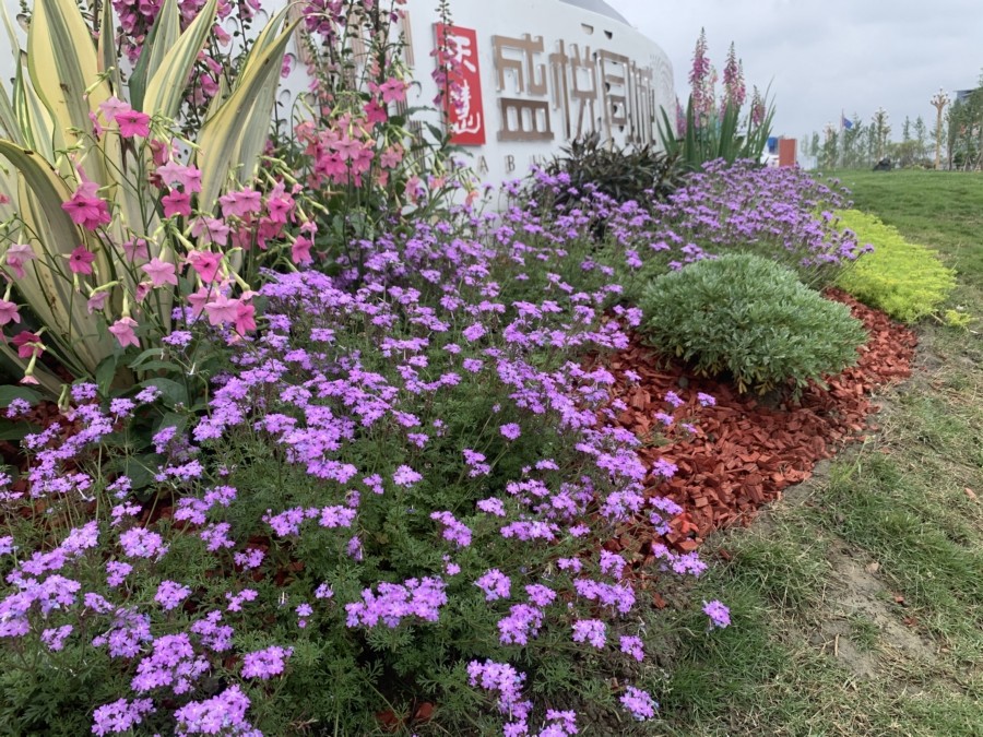 售樓部花鏡景觀