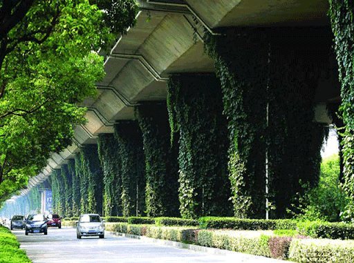 路橋植物墻，綠色交通營(yíng)造者！